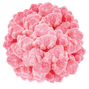 Sour Gummy Piglets 1/2 lb